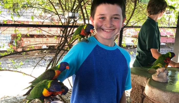 Подростки в контактной зоне с лорикетами и другими попугаями