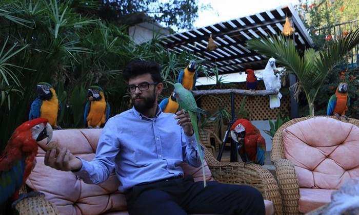 Палестинец Нашат Тмаизи сидит на софе со своими попугаями-питомцами