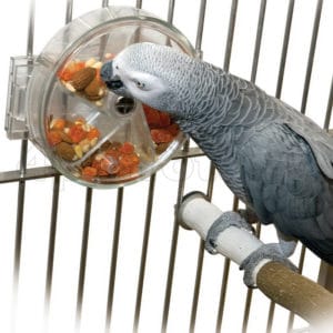 Игрушка для попугая Колесико для еды