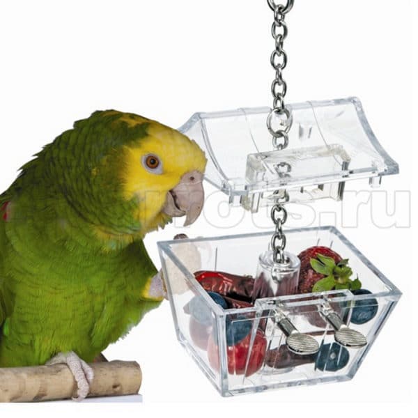 Игрушка для попугая Сундук с сокровищами