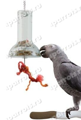 фото игрушки для попугая Головоломка-капсула 7