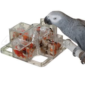 Интерактивная карусель для попугаев