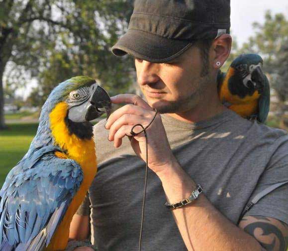 Смит с попугаями ара