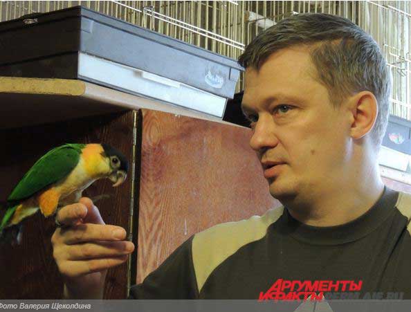 питомник попугаев в Перми