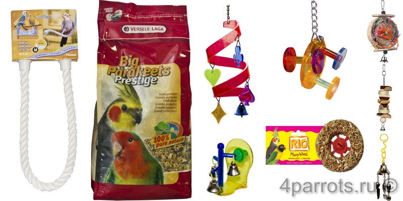 товары для средних попугаев