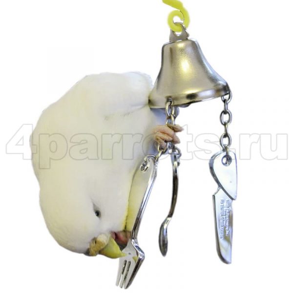 Волнистый попугай с игрушкой Колокольчик с ложкой, вилкой и ножиком