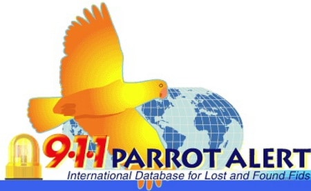 Сайт поиска пропавших попугаев