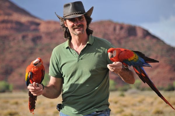 Крис Биро и его попугаи