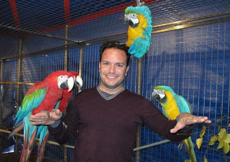 Алессио и его попугаи