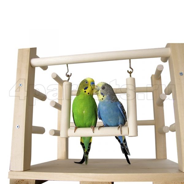 Игровая площадка PL3002 с волнистыми попугаями