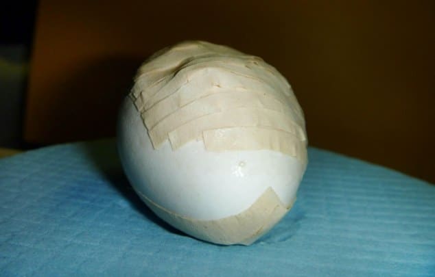 Восстановленное яйцо попугая какапо