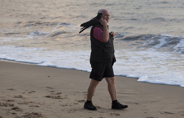Мужчина гуляет по пляжу с черным какаду на плече