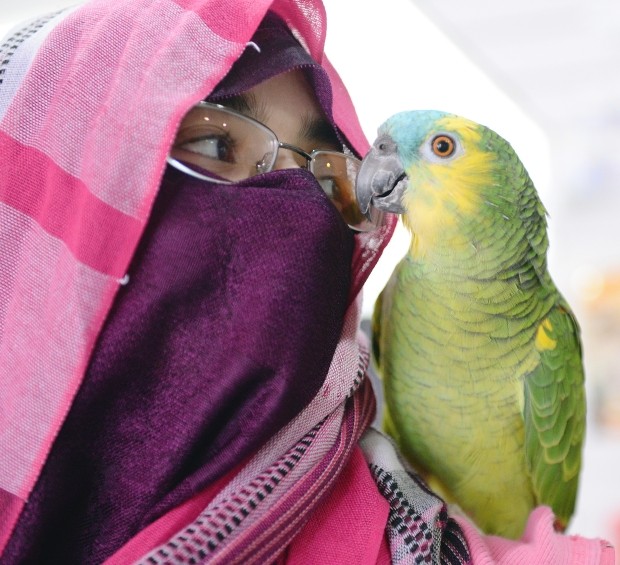 Асра Фатима и попугай