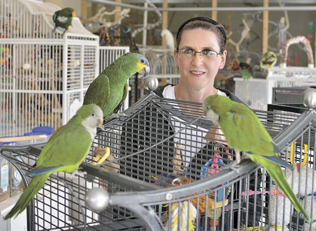 Сабра Хан и ее попугаи