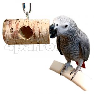 Забава для волнистого попугая: делаем игрушку своими руками