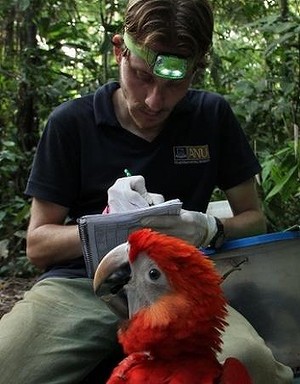 Красный ара и его исследователь Джордж Ола