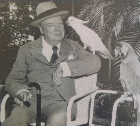 Уинстон Черчилль и его попугаи