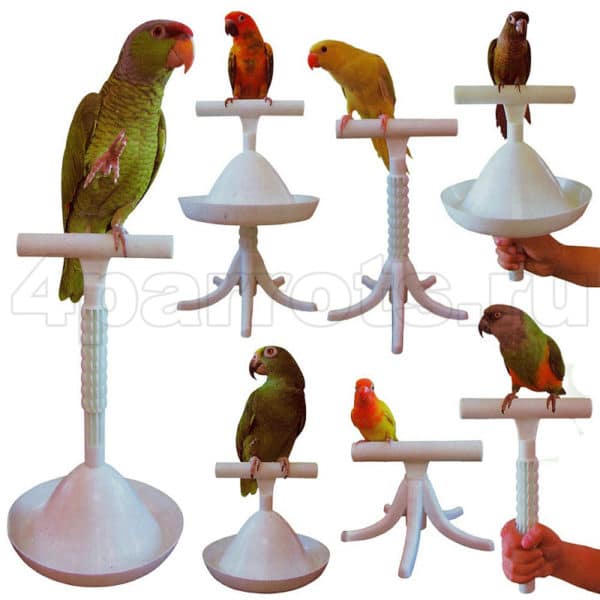 Схема сборка присады для обучения попугая 7 в 1
