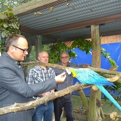 На выставке попугаев в Нидертраублинге