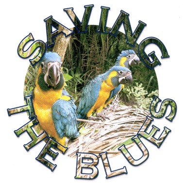 Логотип челленджа по спасению синегорлого ары