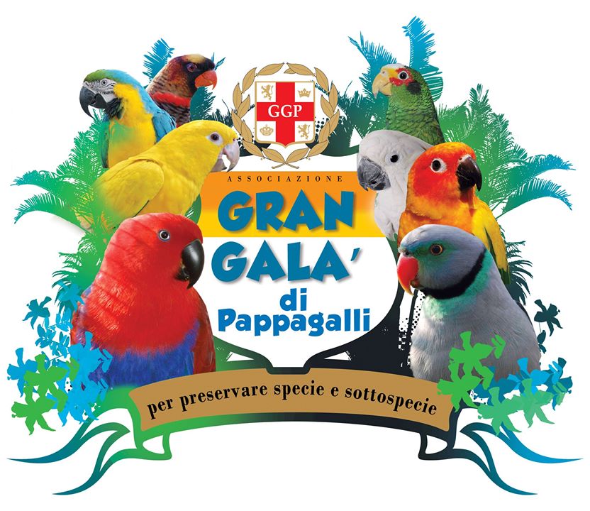 Логотип выставки попугаев в Италии
