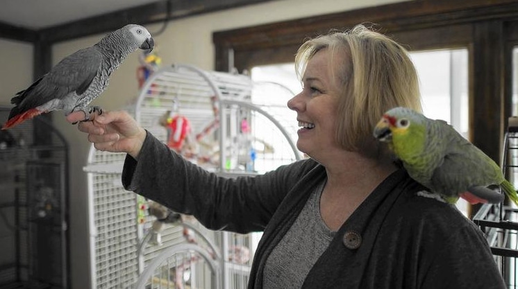 Карен Смит и ее попугаи накануне фестиваля