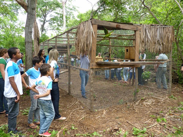 Участники акции по освобождению синелобых амазонов, ждут главного события