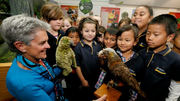 Экскурсовод и школьники в музее, на встрече-знакомстве с попугаями