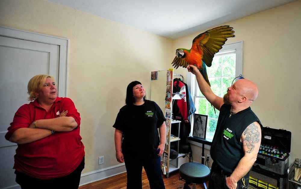 Подготовка к благотворительному сбору средств в поддержку попугаев