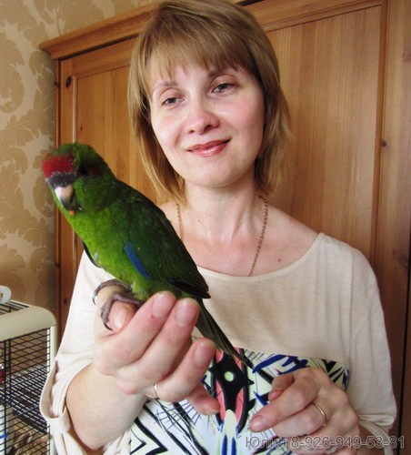 Юлия Устинова с попугайчиком