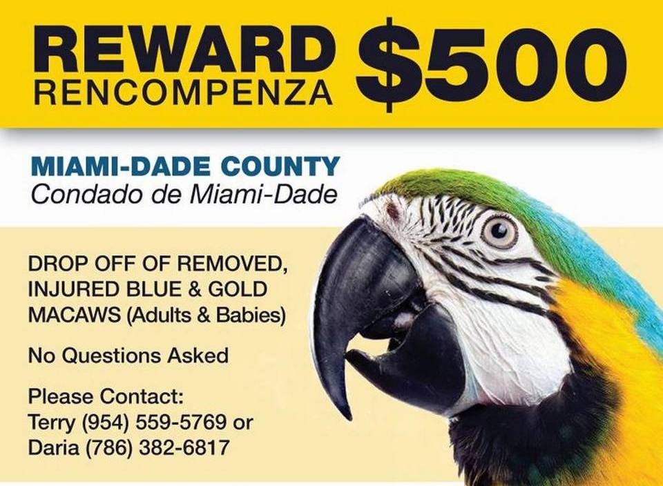 Объявление о борьбе с браконьерами от клуба любителей попугаев Флориды