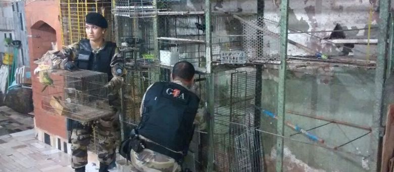 Военная полиция Бразилии изымает птичьи клетки и попугаев