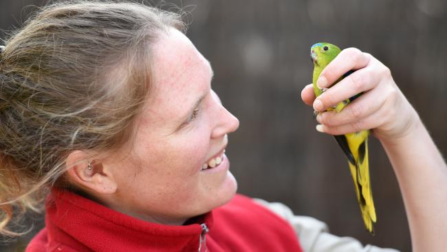 Лиза Татхилл с золотистобрюхим травяным попугайчиком в руках