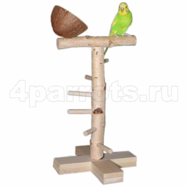 Стенд для попугая PL3033