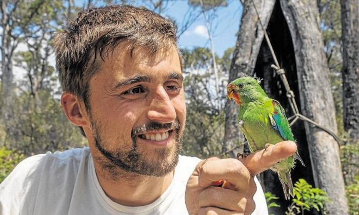 Орнитолог Деян Стоянович с ласточковым попугаем на руке