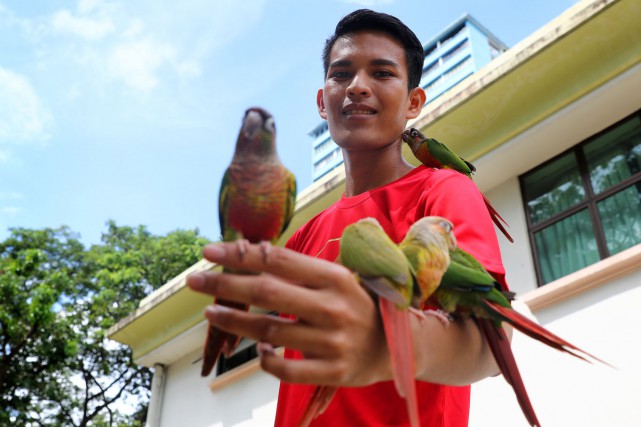 Луи Лу с несколькими попугаями, сидящими на его руке