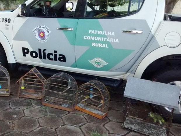 Полицейский автомобиль и клетки с попугаями