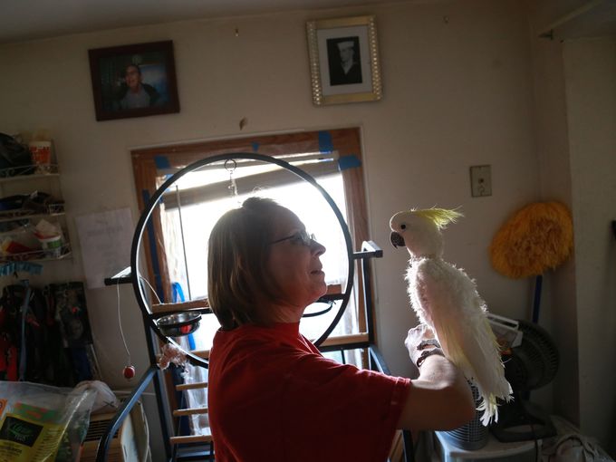 Дианна Ларсон играет с одним из любимых попугаев своего приюта
