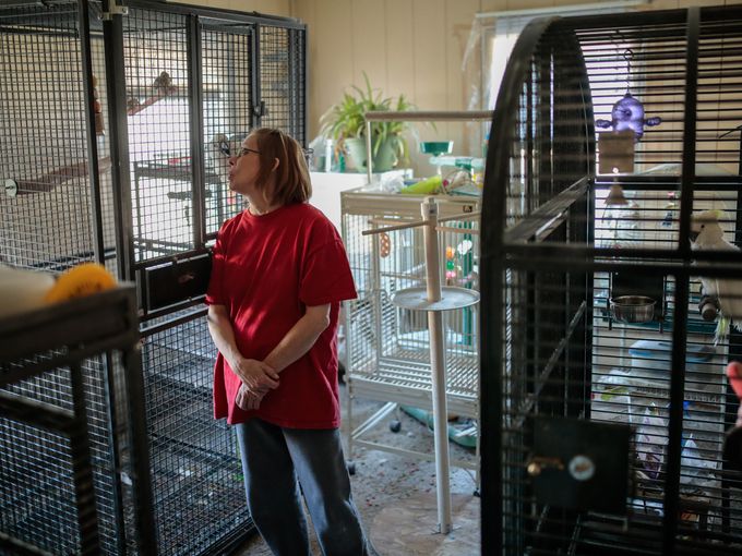 Дианна Ларсон проверяет состояние попугаев в клетках