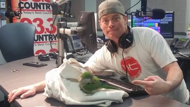 Радиоведущий Пит и его спасенный попугай в студии