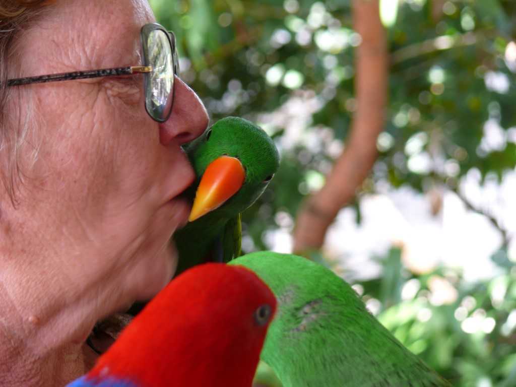 Женщина целует попугая