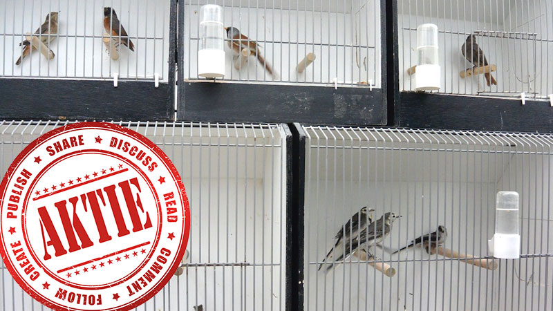 Знак дискуссии на фоне птиц в клетках во время птичьего рынка