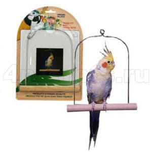 Качели Penn-Plax для попугая, 20 см