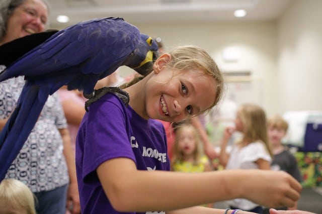 Гиацинтовый ара сидит на плече у девочки во время выставки в библиотеке Атенса