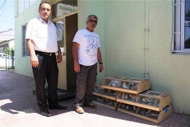 Работники аэропорта Ыгдыр с конфискованными попугаями в клетках