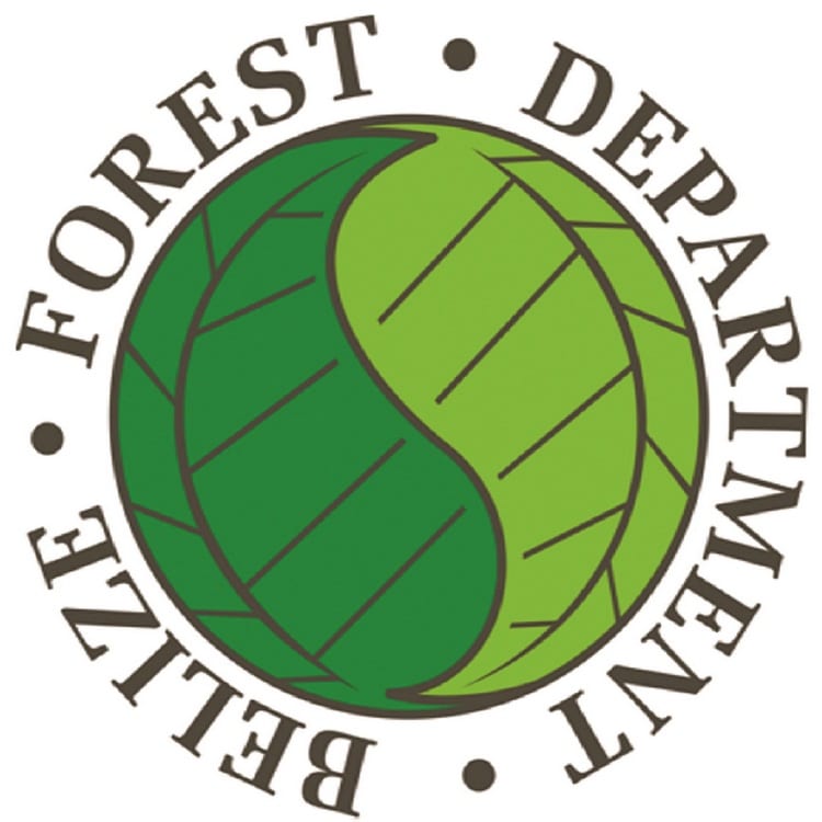 Логотип лесного департамента Белиза