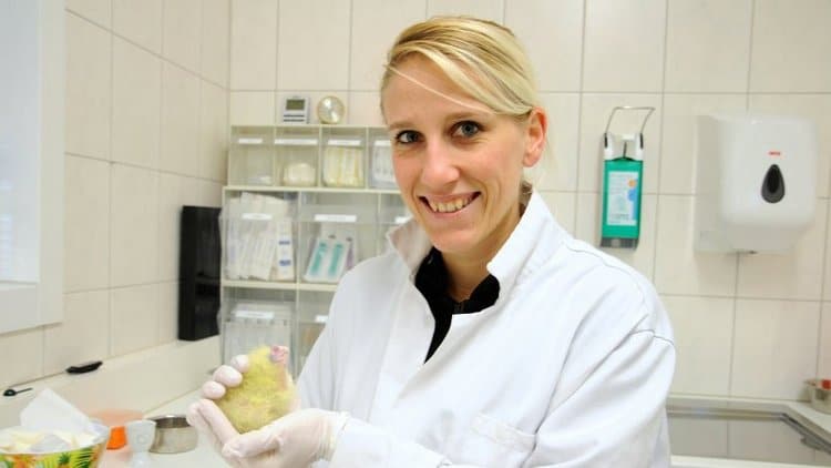 Биолог Катрин Шолтиссек с птенцом траурного какаду Бэнкса в инкубаторе