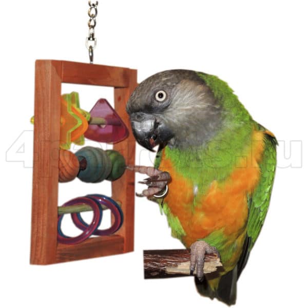Игрушка Счеты цветные с попугаем