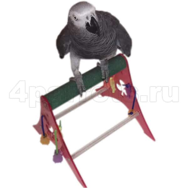 Акриловая присада M с попугаем жако