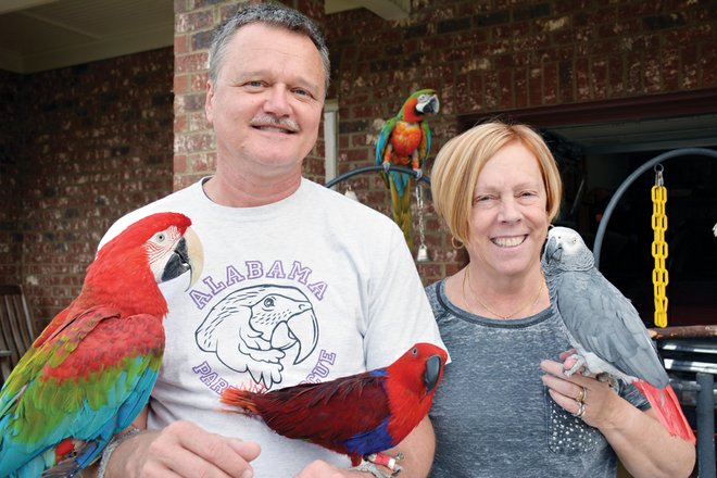 Арт и Стефани Дэвис со своими попугаями любимчиками